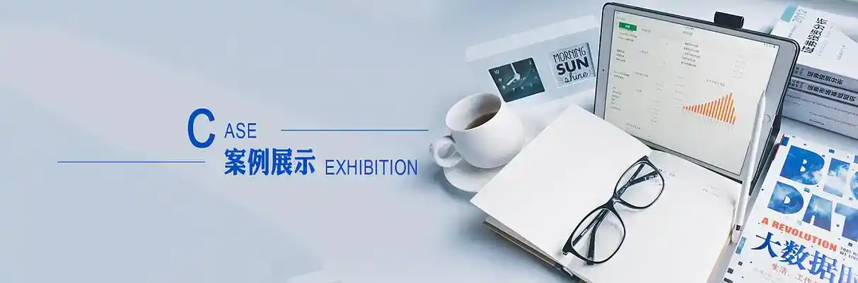 叙永县软件开发